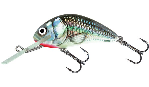 Salmo Wobler Hornet Sinking Holographic Grey Shiner- 2,5cm 1,5g