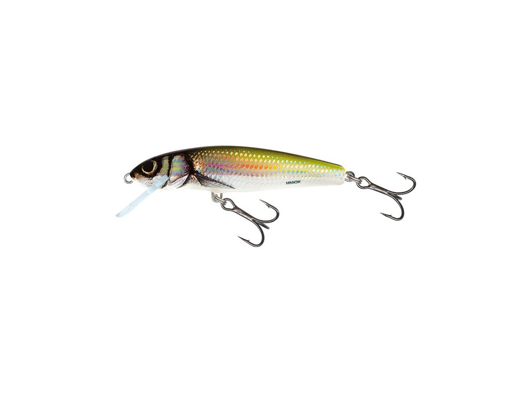 SALMO VOBLER MINNOW 5 FLOATING HOLO BLEAK