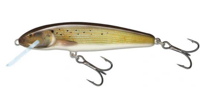 SALMO - WOBLER MINNOW FLOATING 5CM