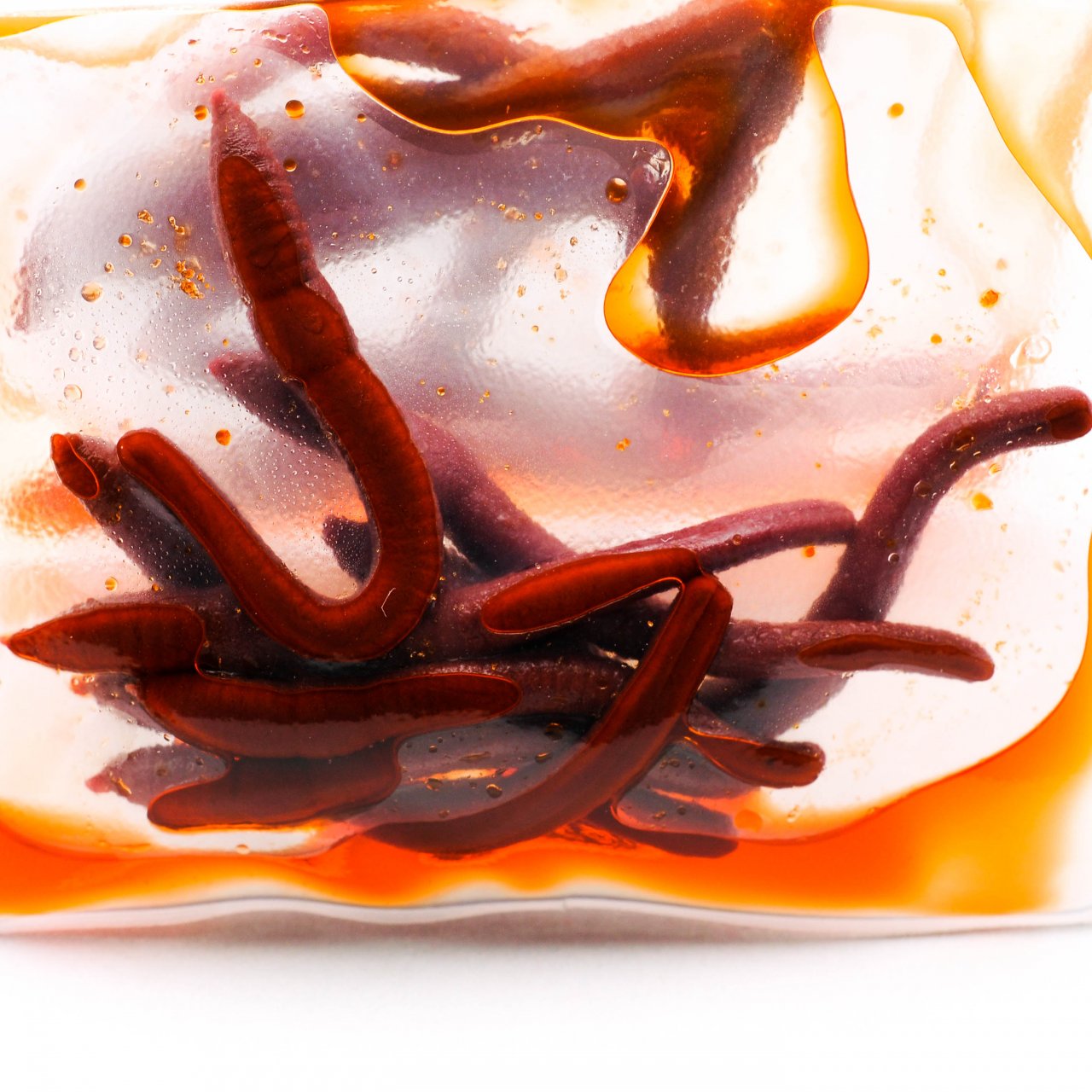 Mikbaits Enterprise červi, patentky- Plovoucí hnojná žížala 8ks