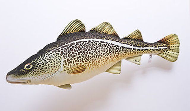 Gaby plyšová ryba Treska střední