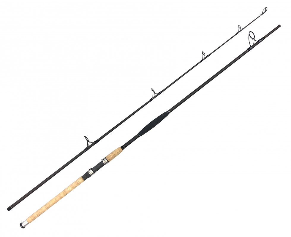 Zfish prut Catfish Morga 2,70m 100-400g
