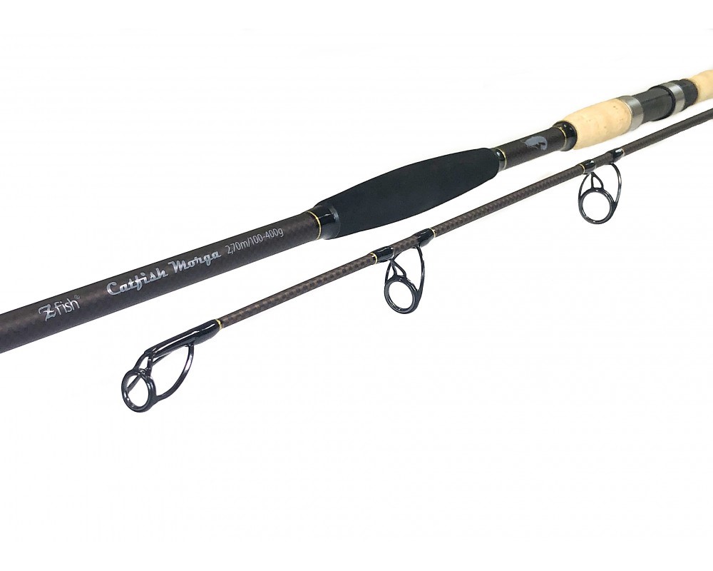 Zfish prut Catfish Morga 2,70m 100-400g