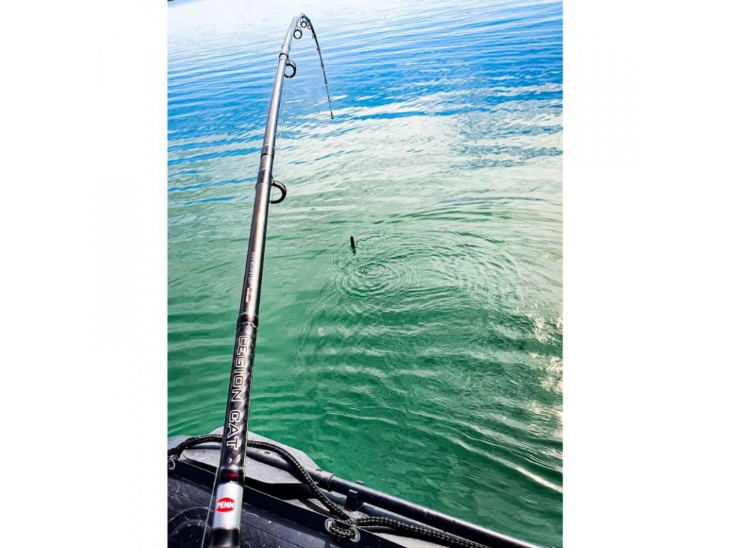 Prut PENN LEGION CAT SILVER Spin 270 40-160g