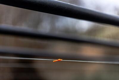 FOX ZNAČKOVACÍ ŠŇŮRKA ORANGE MARKER ELASTIC 10 M