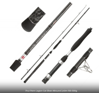 Prut PENN LEGION CAT SILVER Power AR 270 200-400g