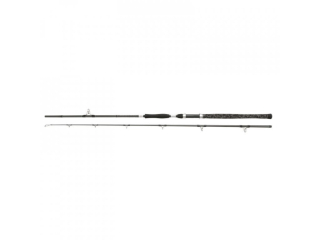 Prut PENN LEGION CAT SILVER Spin 270 40-160g